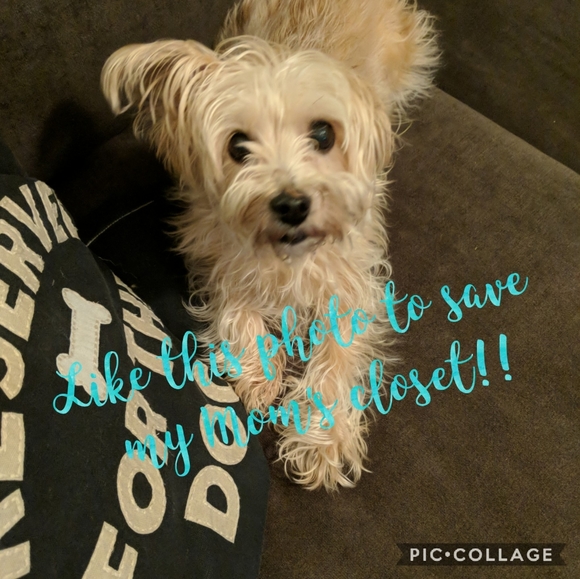 Come back soon! - Picture 3 of 4